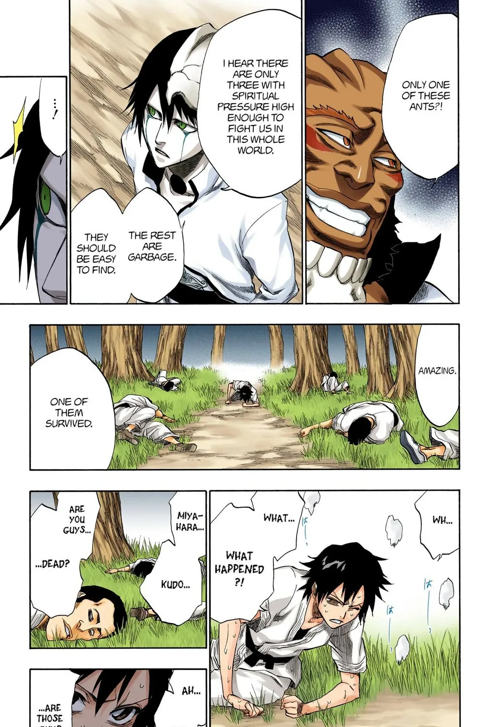 Bleach Colored Manga, chapter 191, page 21