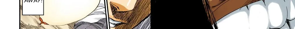 Bleach Colored Manga, chapter 193, page 30