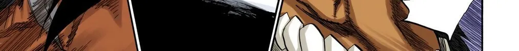 Bleach Colored Manga, chapter 194, page 10