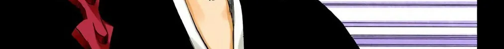 Bleach Colored Manga, chapter 201, page 10