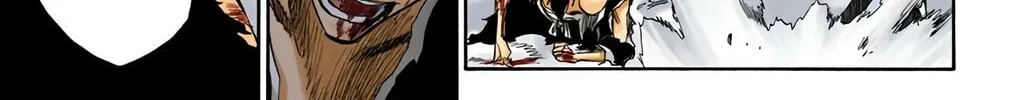 Bleach Colored Manga, chapter 204, page 36