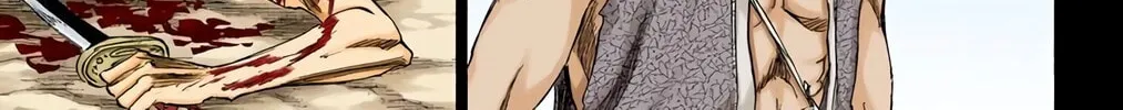 Bleach Colored Manga, chapter 206, page 14