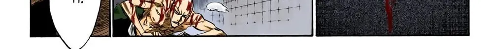 Bleach Colored Manga, chapter 206, page 30