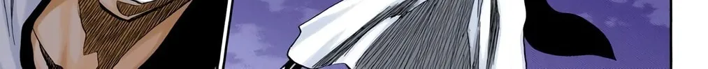 Bleach Colored Manga, chapter 207, page 22