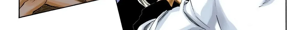 Bleach Colored Manga, chapter 209, page 14