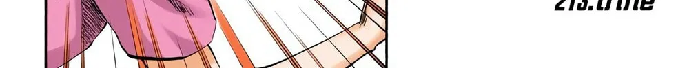 Bleach Colored Manga, chapter 213, page 2