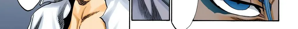 Bleach Colored Manga, chapter 213, page 22