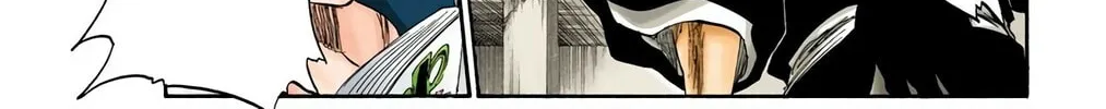 Bleach Colored Manga, chapter 217, page 22