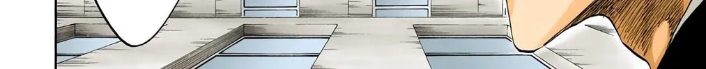 Bleach Colored Manga, chapter 218, page 14