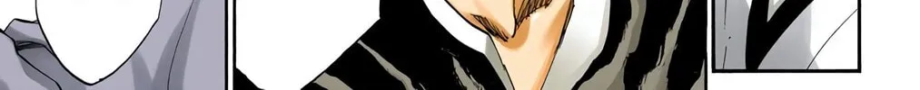Bleach Colored Manga, chapter 218, page 40