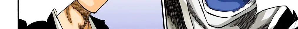 Bleach Colored Manga, chapter 221, page 32