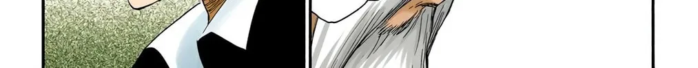 Bleach Colored Manga, chapter 223, page 8