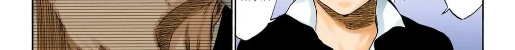 Bleach Colored Manga, chapter 223, page 10