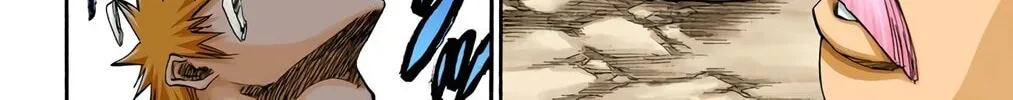 Bleach Colored Manga, chapter 225, page 16