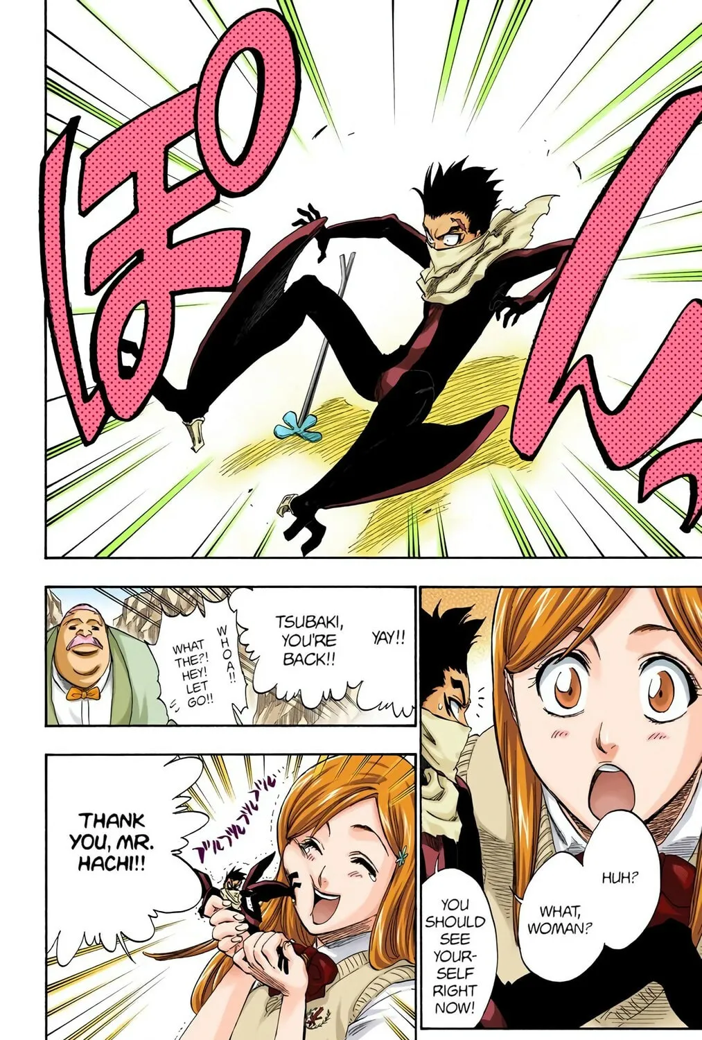 Bleach Colored Manga, chapter 228, page 27