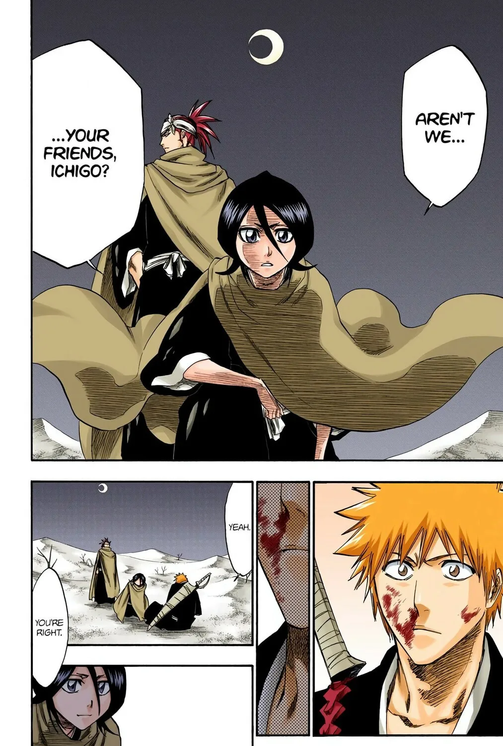Bleach Colored Manga, chapter 247, page 11