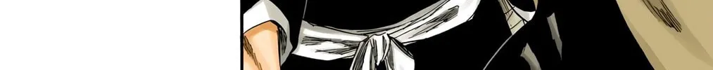 Bleach Colored Manga, chapter 248, page 30