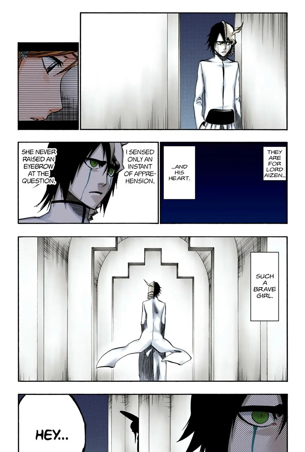 Bleach Colored Manga, chapter 249, page 9