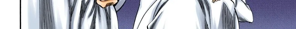 Bleach Colored Manga, chapter 250, page 28