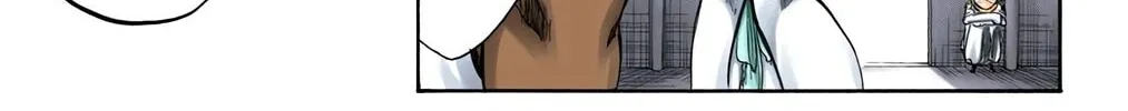 Bleach Colored Manga, chapter 250, page 30