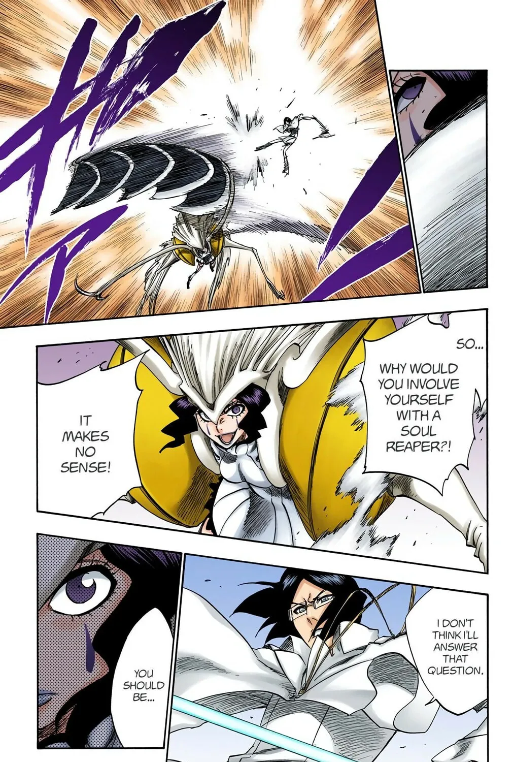 Bleach Colored Manga, chapter 258, page 13
