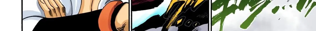 Bleach Colored Manga, chapter 259, page 24
