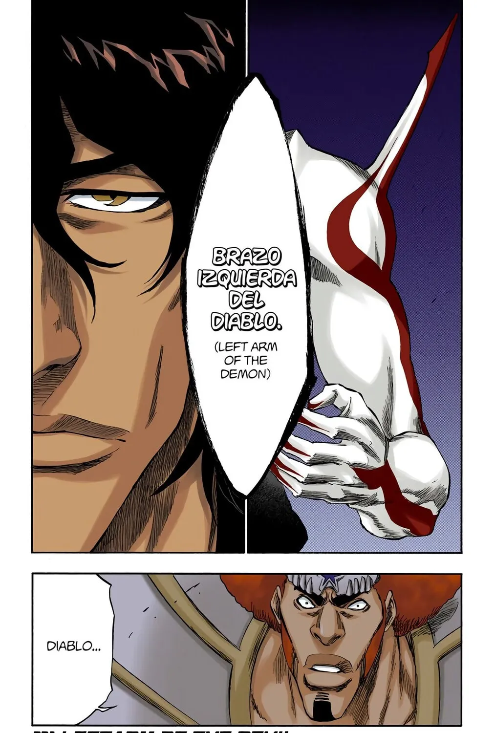 Bleach Colored Manga, chapter 261, page 1