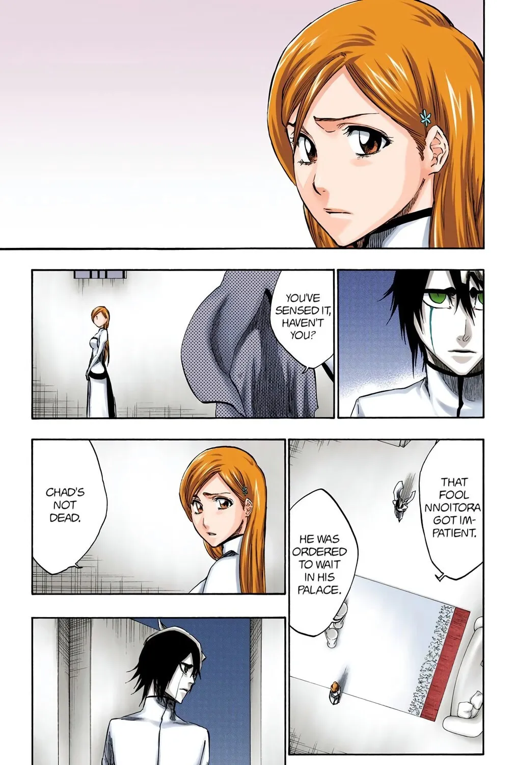 Bleach Colored Manga, chapter 262, page 13