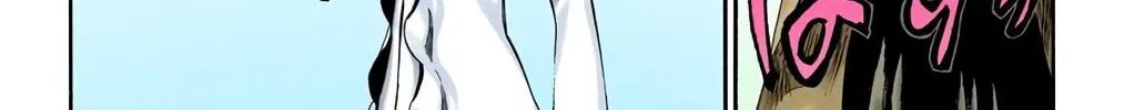 Bleach Colored Manga, chapter 263, page 28
