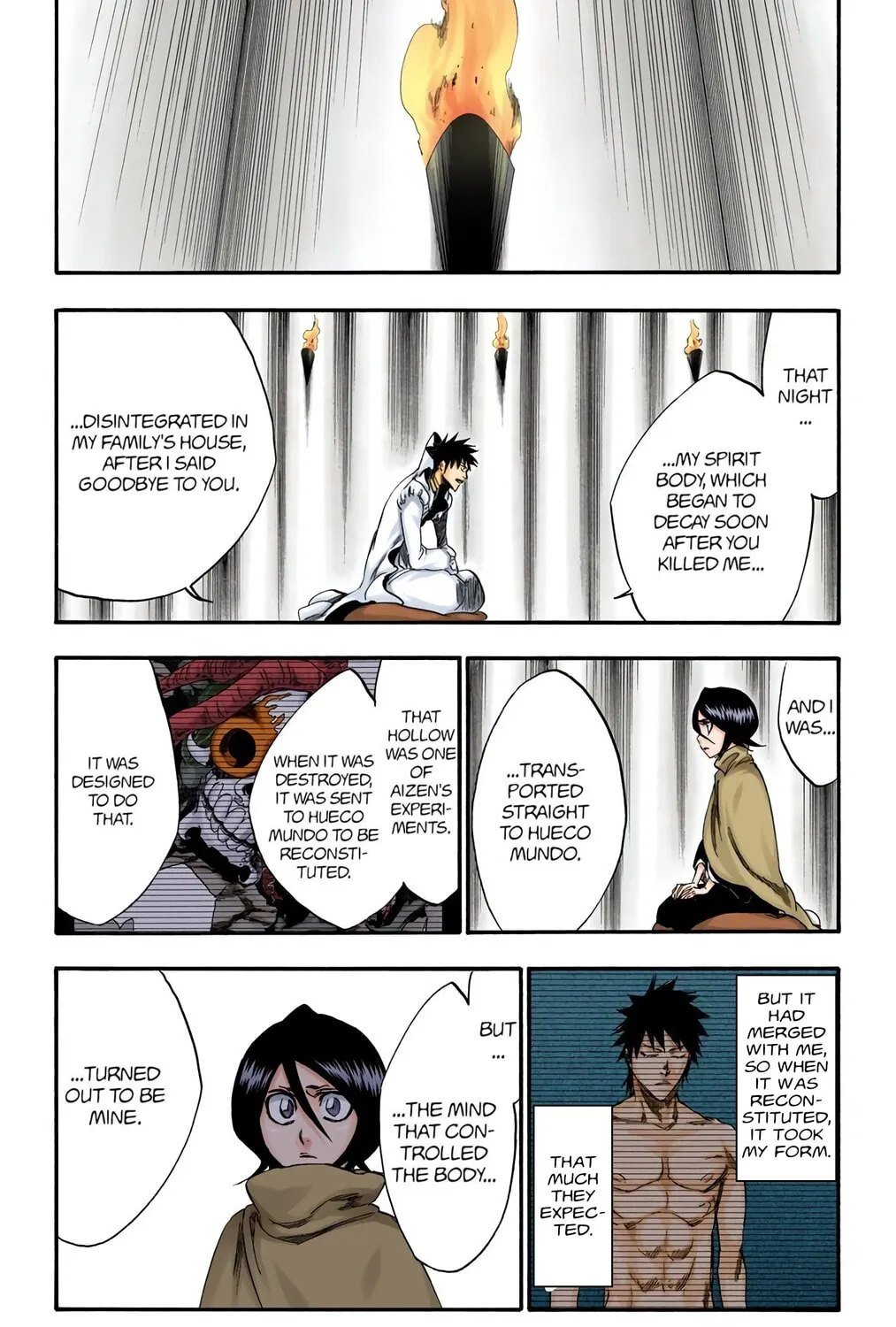 Bleach Colored Manga, chapter 263, page 29