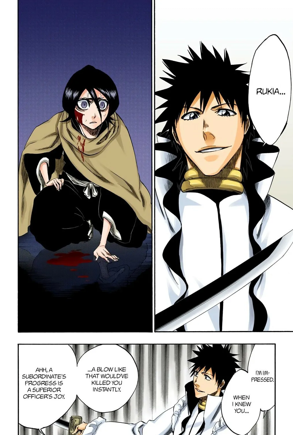 Bleach Colored Manga, chapter 264, page 7