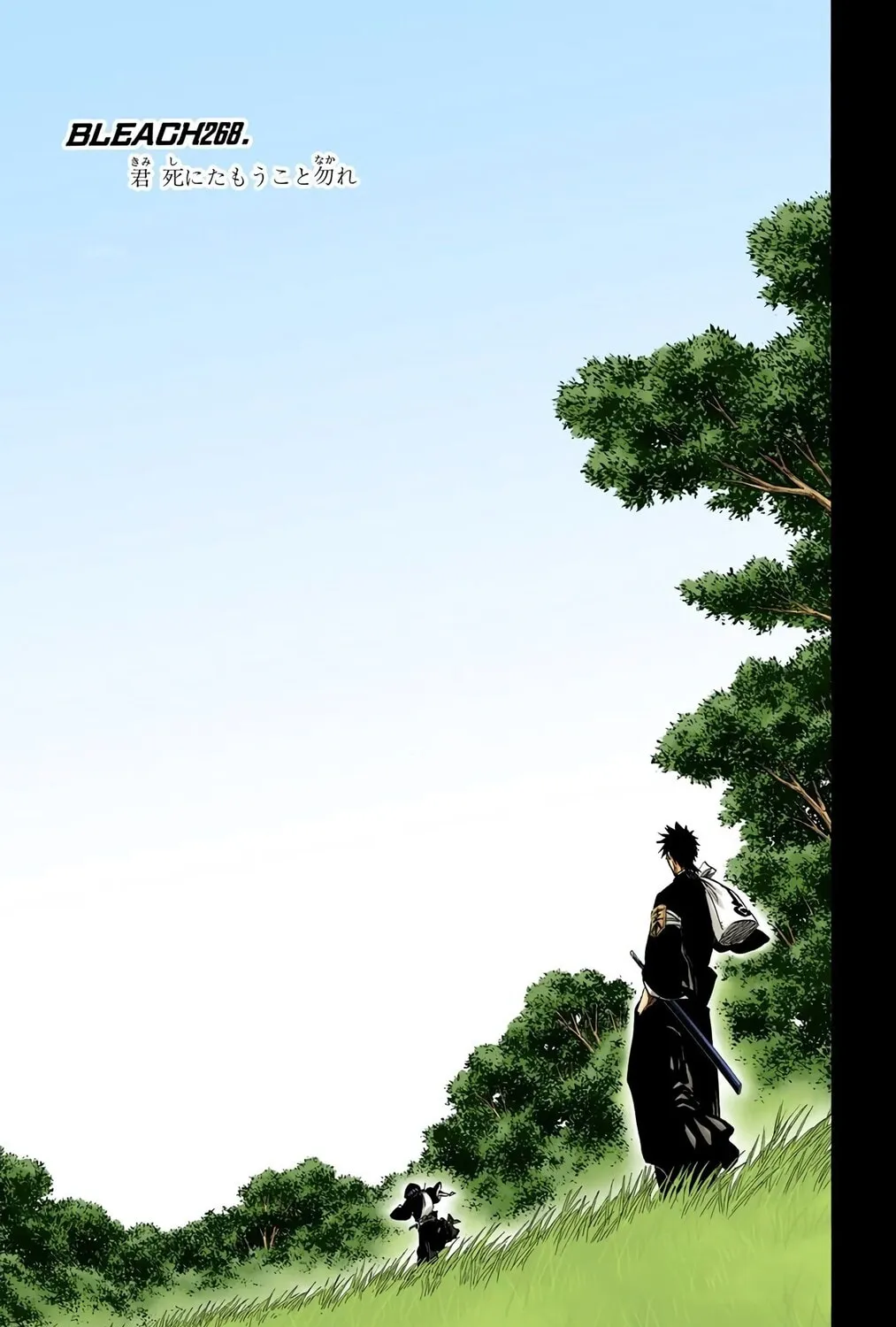 Bleach Colored Manga, chapter 268, page 9