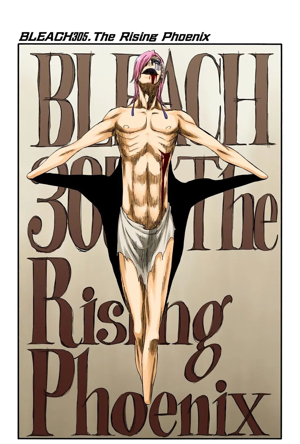 Bleach Colored Manga, chapter 305, page 7