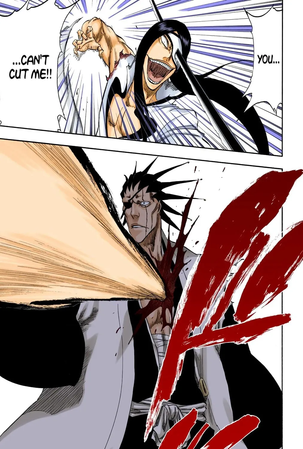 Bleach Colored Manga, chapter 307, page 33
