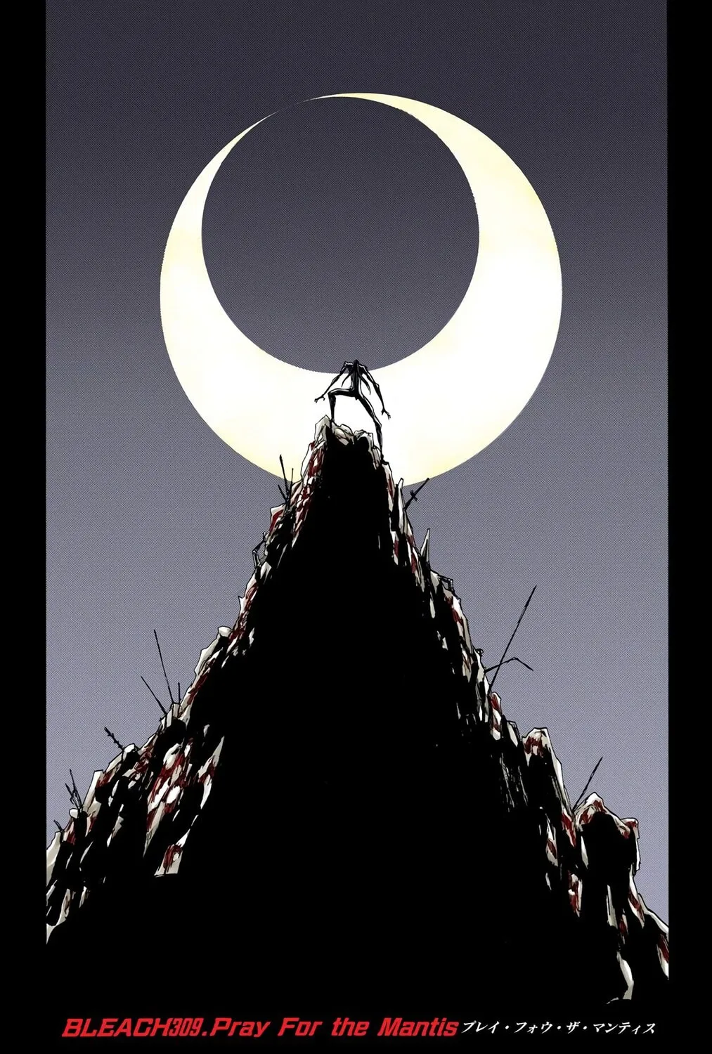 Bleach Colored Manga, chapter 309, page 15