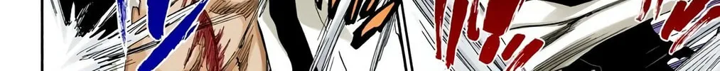Bleach Colored Manga, chapter 310, page 28