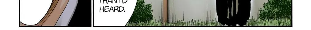 Bleach Colored Manga, chapter 315.0, page 34