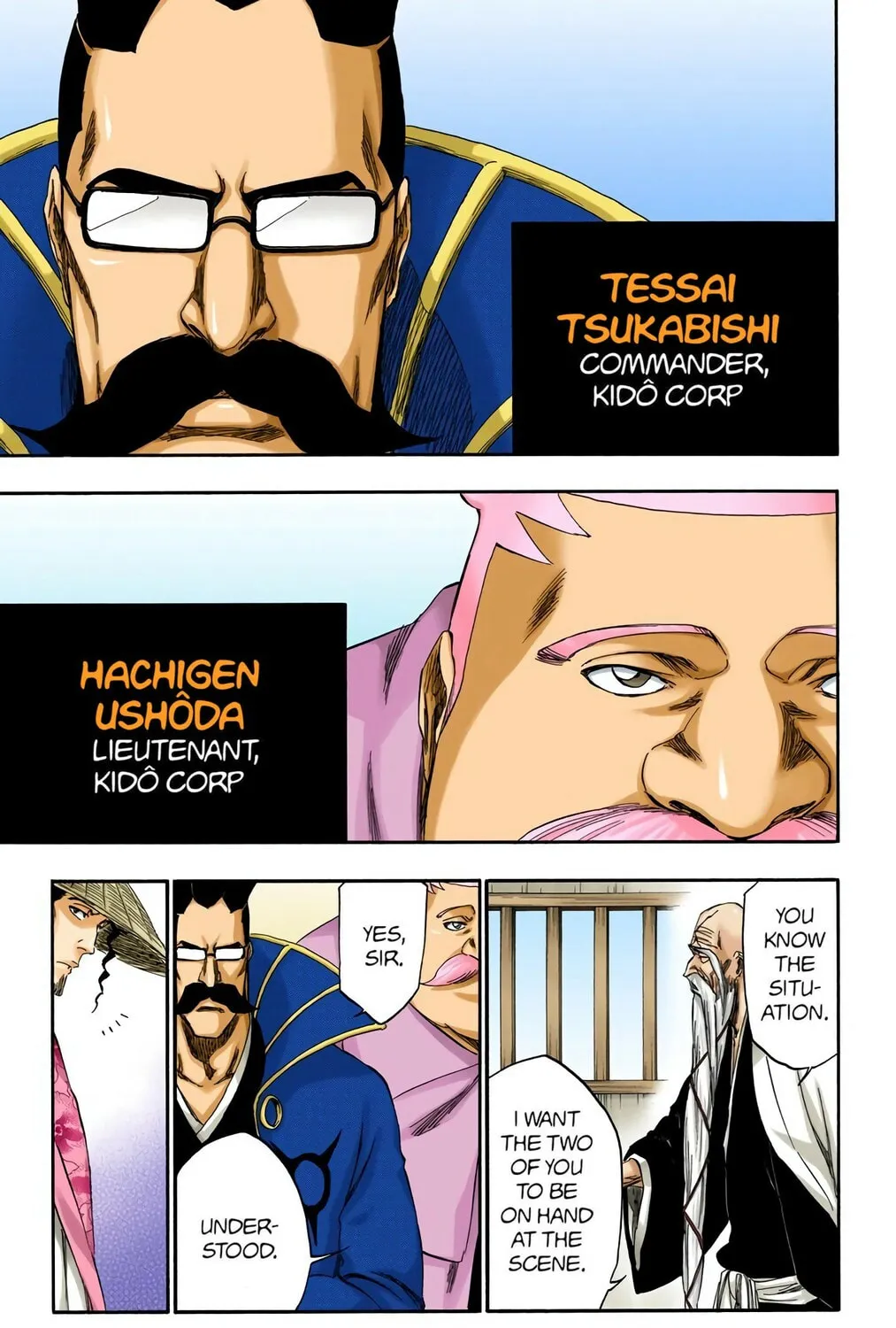 Bleach Colored Manga, chapter 315.1, page 17