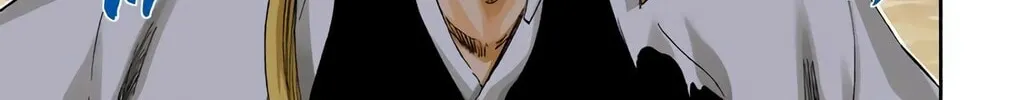 Bleach Colored Manga, chapter 315.2, page 28