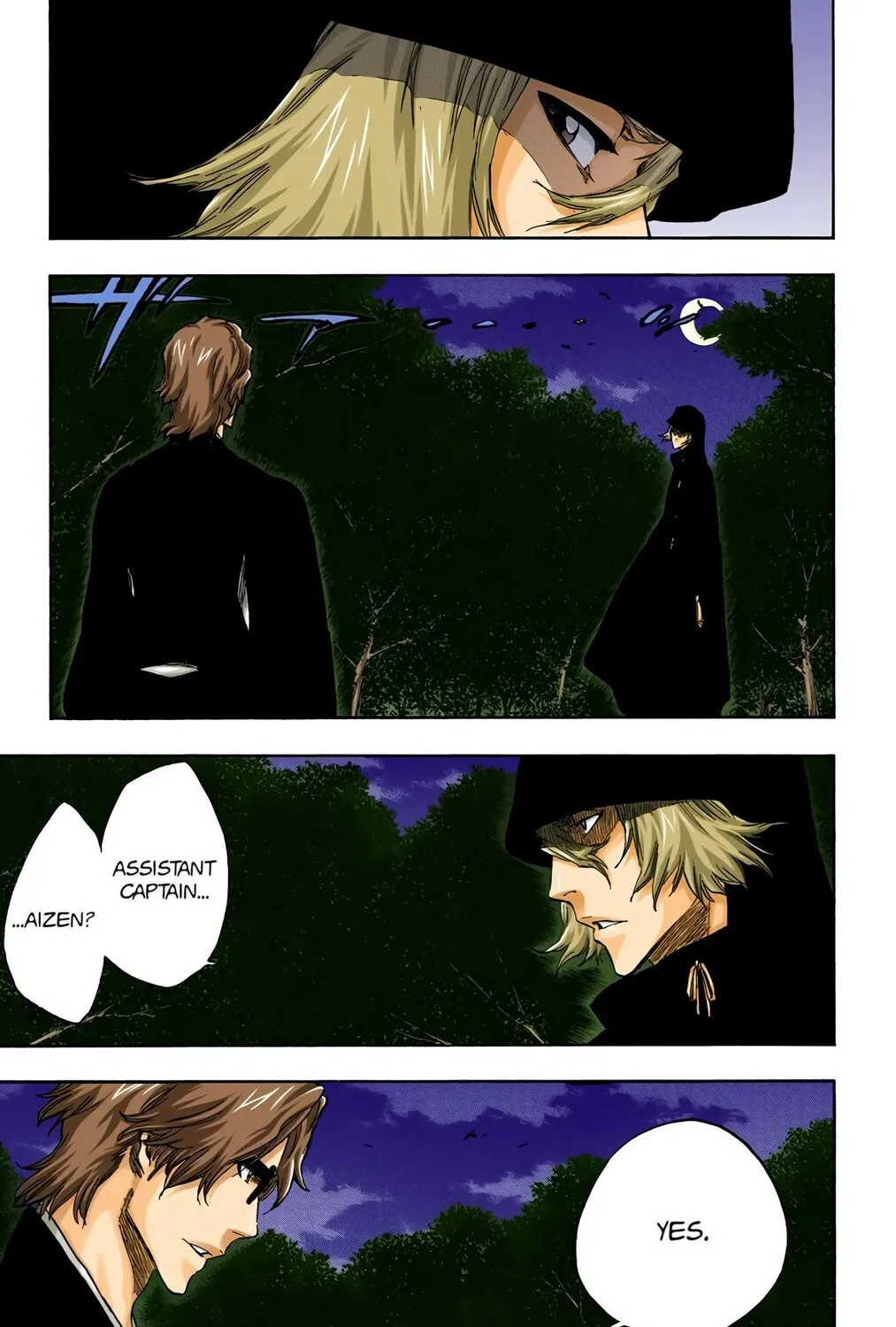 Bleach Colored Manga, chapter 315.3, page 9