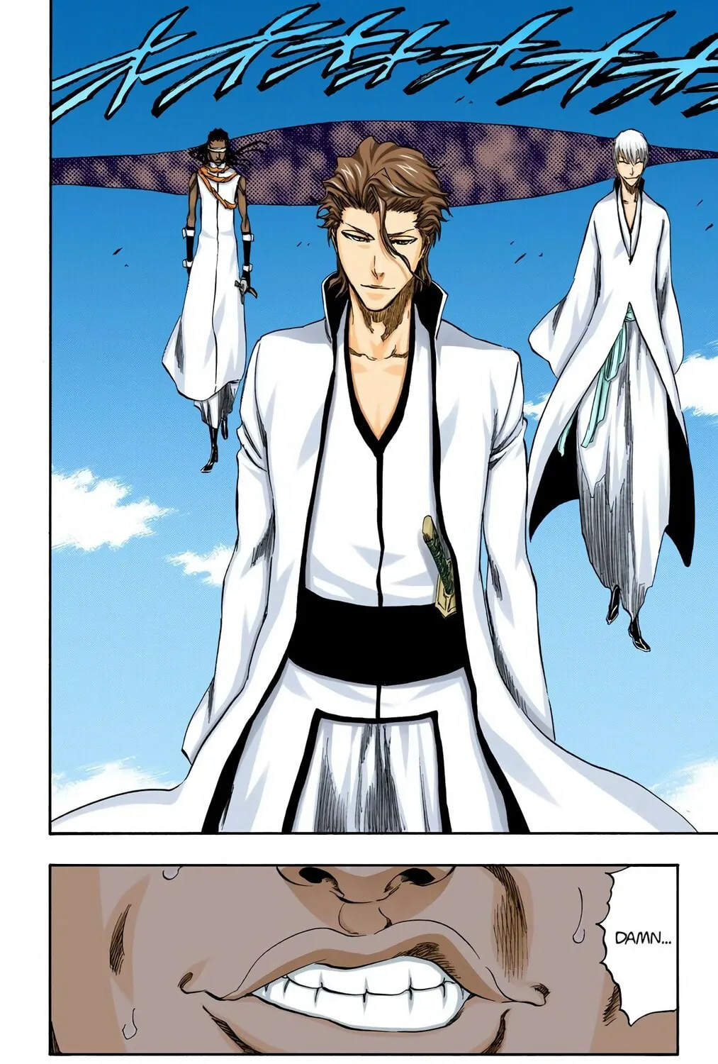 Bleach Colored Manga, chapter 316, page 9