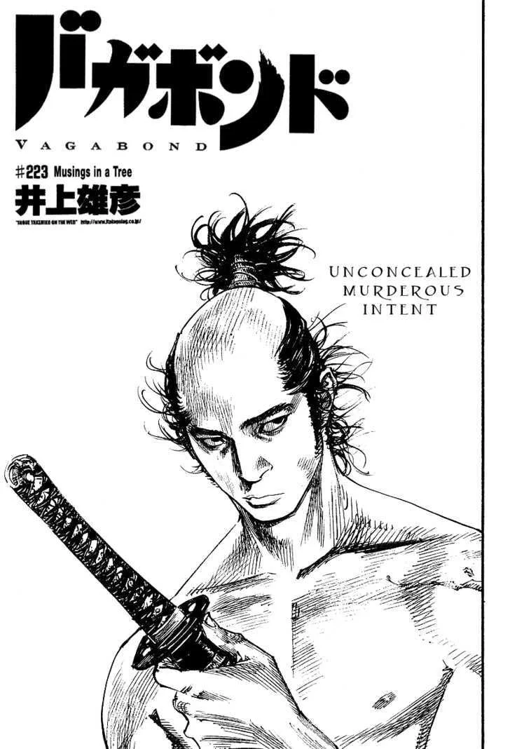 Vagabond Manga, chapter 223, page 1