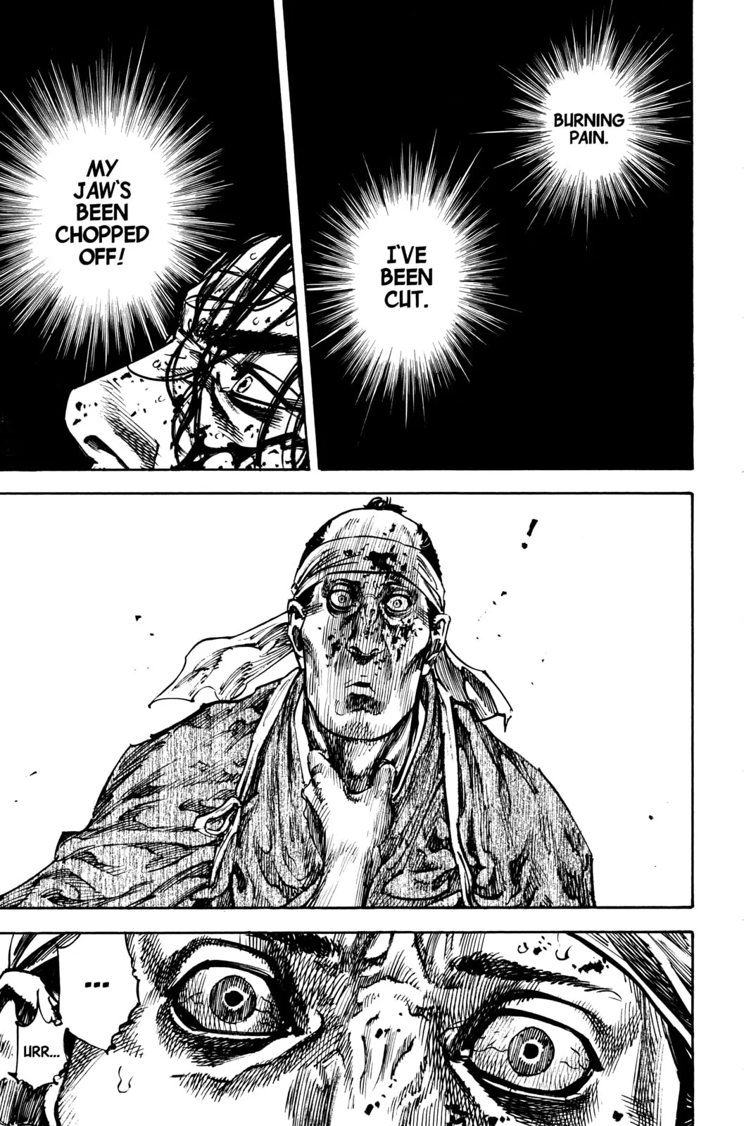 Vagabond Manga, chapter 229, page 11