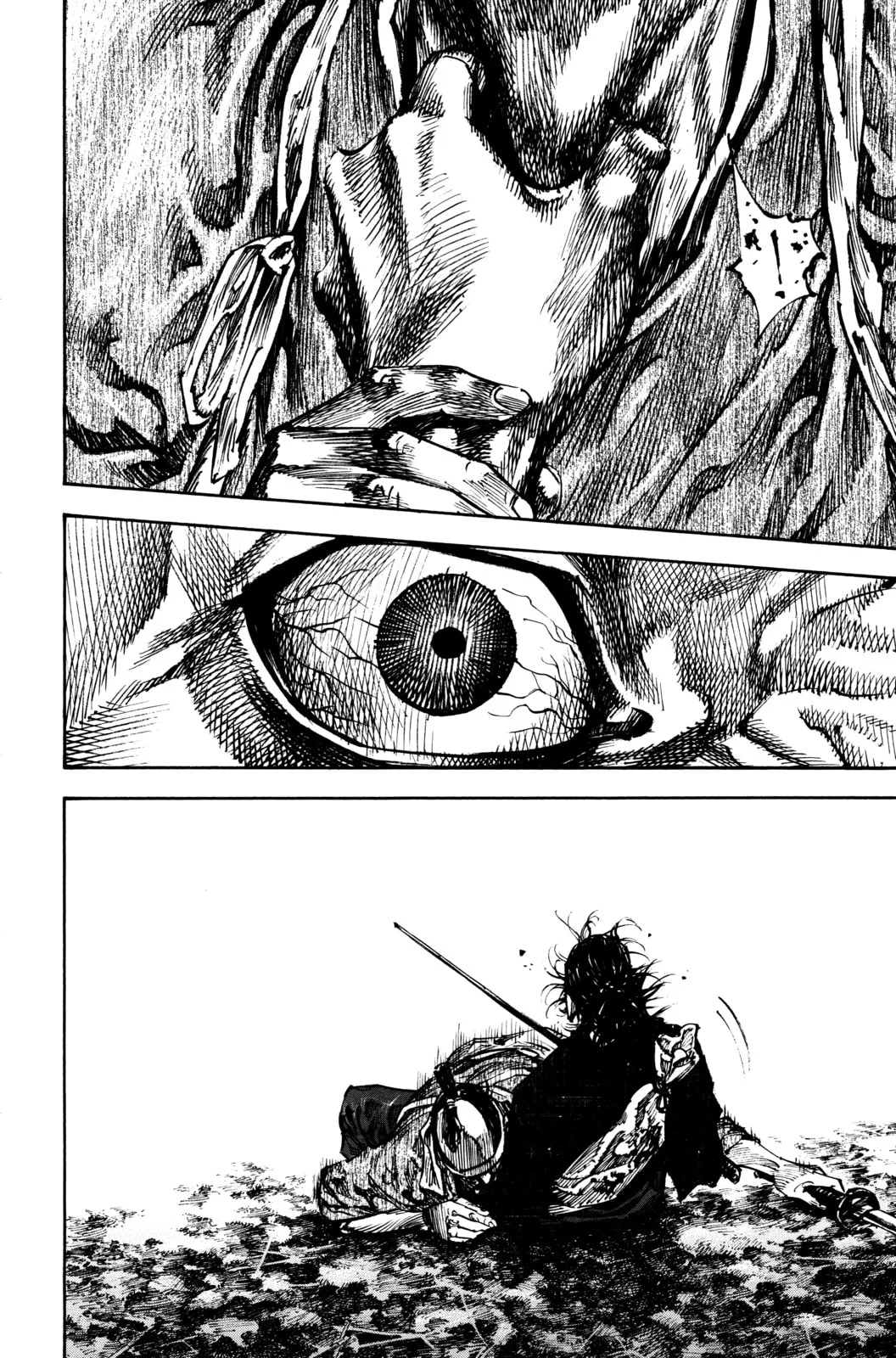 Vagabond Manga, chapter 229, page 12