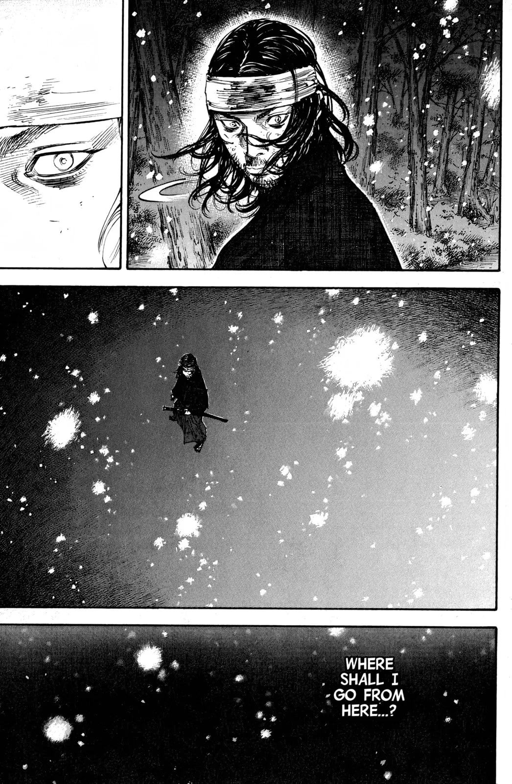 Vagabond Manga, chapter 242, page 20