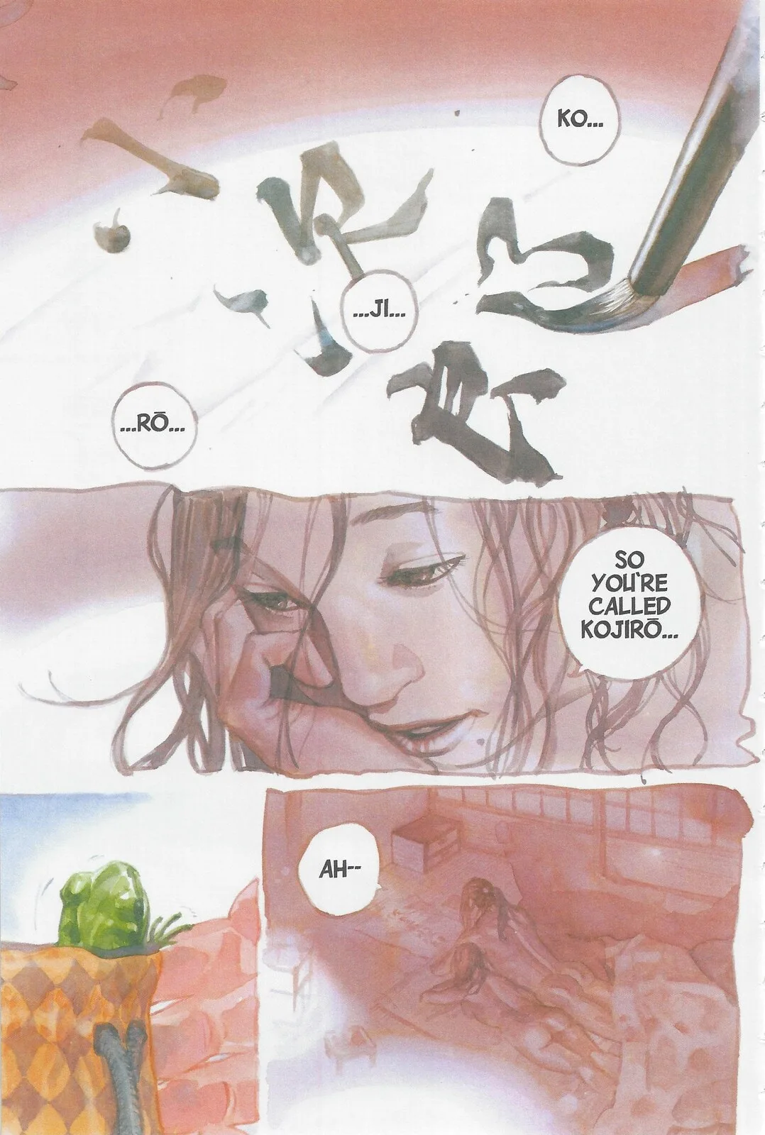 Vagabond Manga, chapter 243, page 2