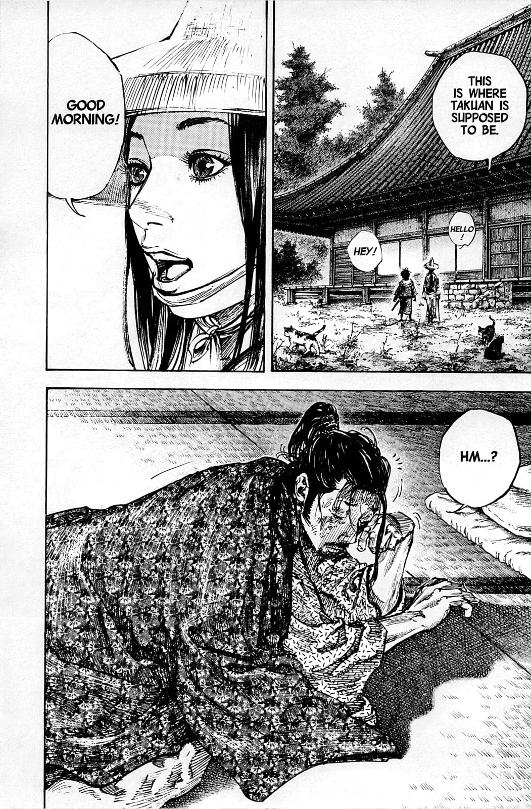Vagabond Manga, chapter 244, page 20