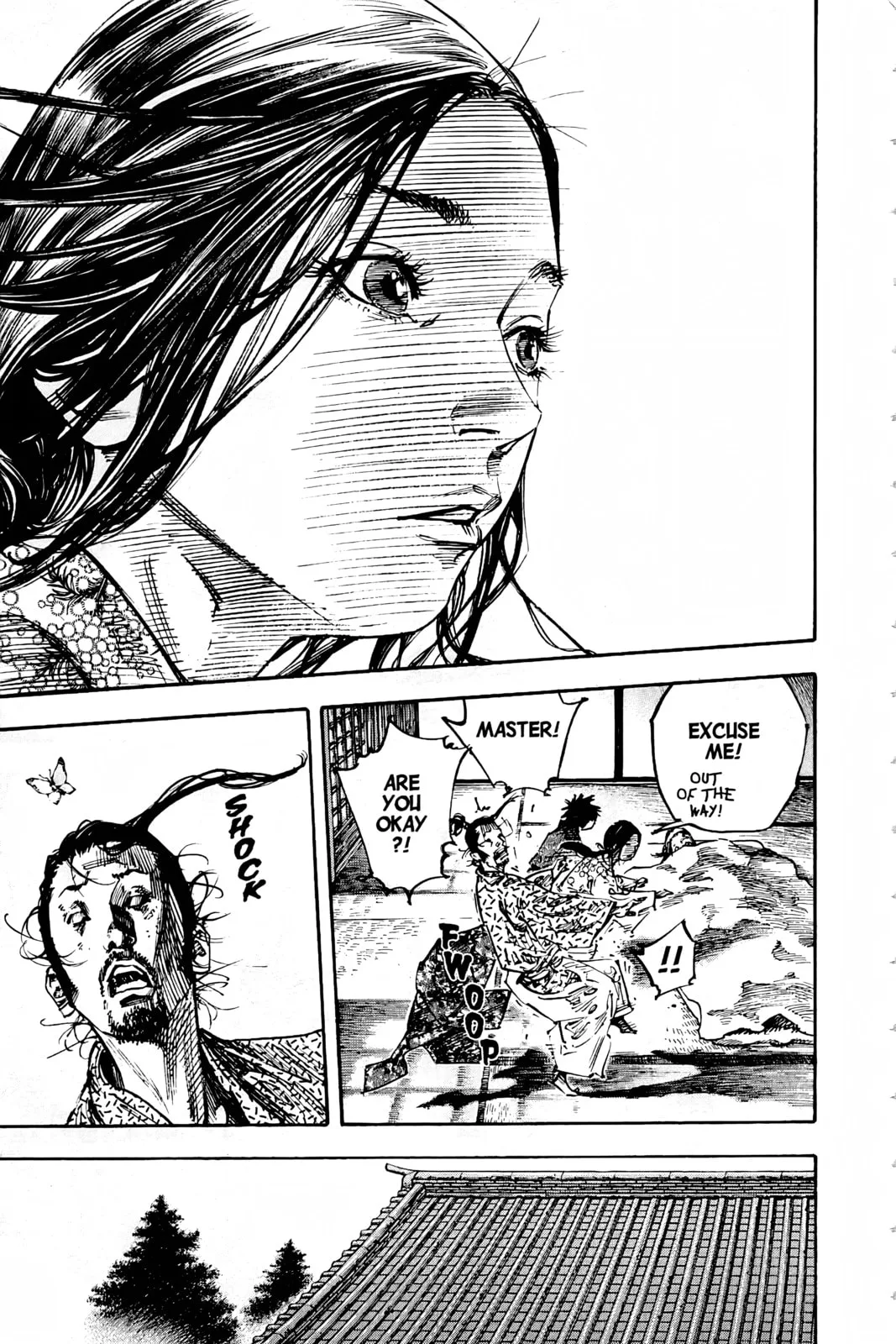 Vagabond Manga, chapter 245, page 5