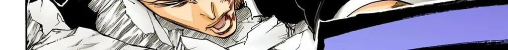 Bleach Colored Manga, chapter 326, page 16