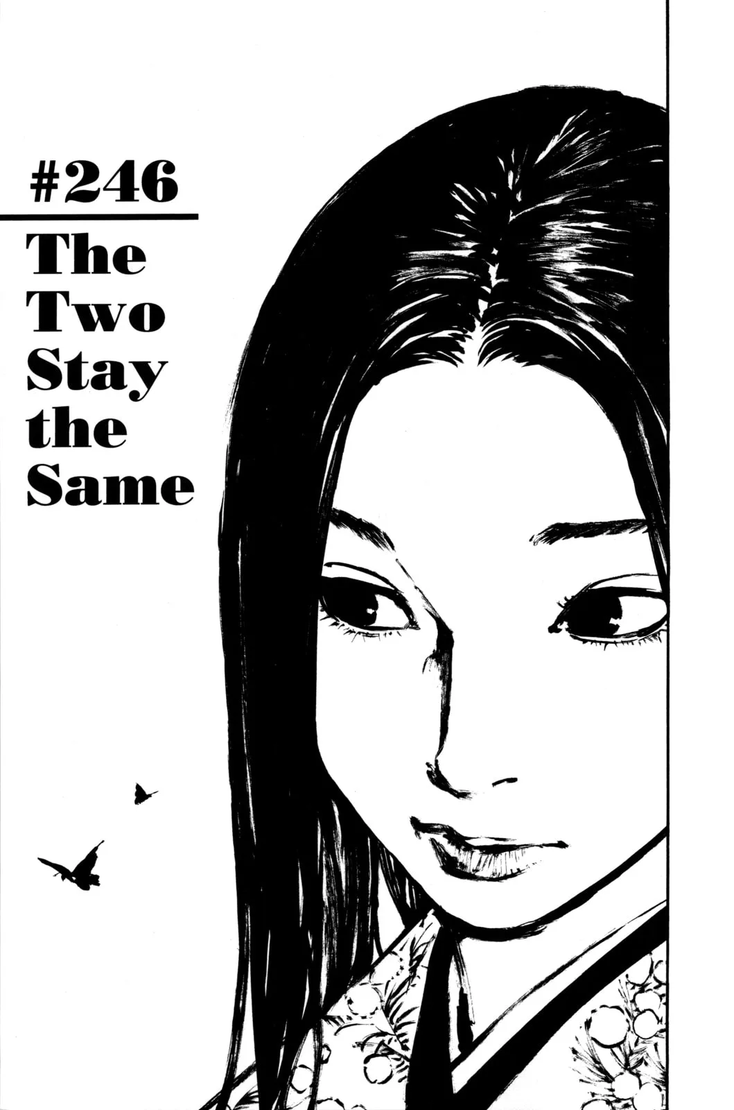 Vagabond Manga, chapter 246, page 1